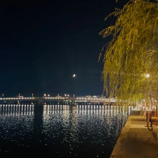島根の夜景のひとこま
〜大橋川沿いの景色 編〜

島根県松江市は水の都とも言われます。
散歩したくなるよね🚶‍♀️

#水の都 
#大橋川 
#夜景 
#お出かけスポット 
#観光スポット 
#アラフォーコーデ 
#ハイトーンカラー 
#ショート女子
#山陰 
#島根
#松江 
#ローカルタレント 
#パワフル 
#mc 
#荒木まどか 
#ヒトコマドカ