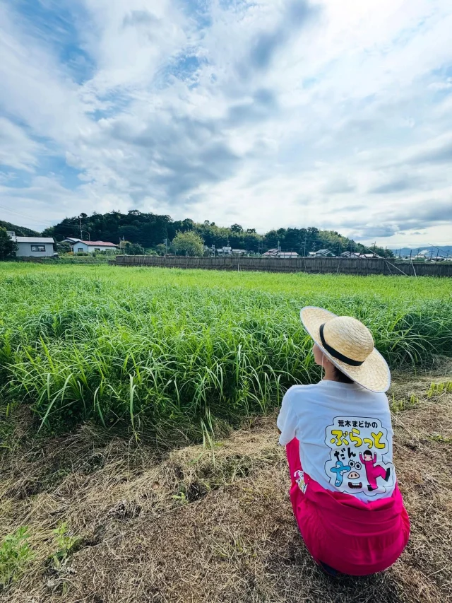 ロケでのヒトコマ
〜 大井町周辺 編〜

#ロケ 
#町歩き 
#山陰
#島根 
#松江 
#大井町 
#ホーランエンヤ 
#松江グルメ 
#パン屋 
#お茶屋 
#田舎 
#田んぼ 
#畑 
#良いところ 
#荒木まどか 
#パワフルMC
#ローカルタレント
#司会 
#講師 
#リポーター 
#アラフォー 
#ショートヘア 
#ショート女子 
#ハイトーンカラー 
#ヒトコマドカ